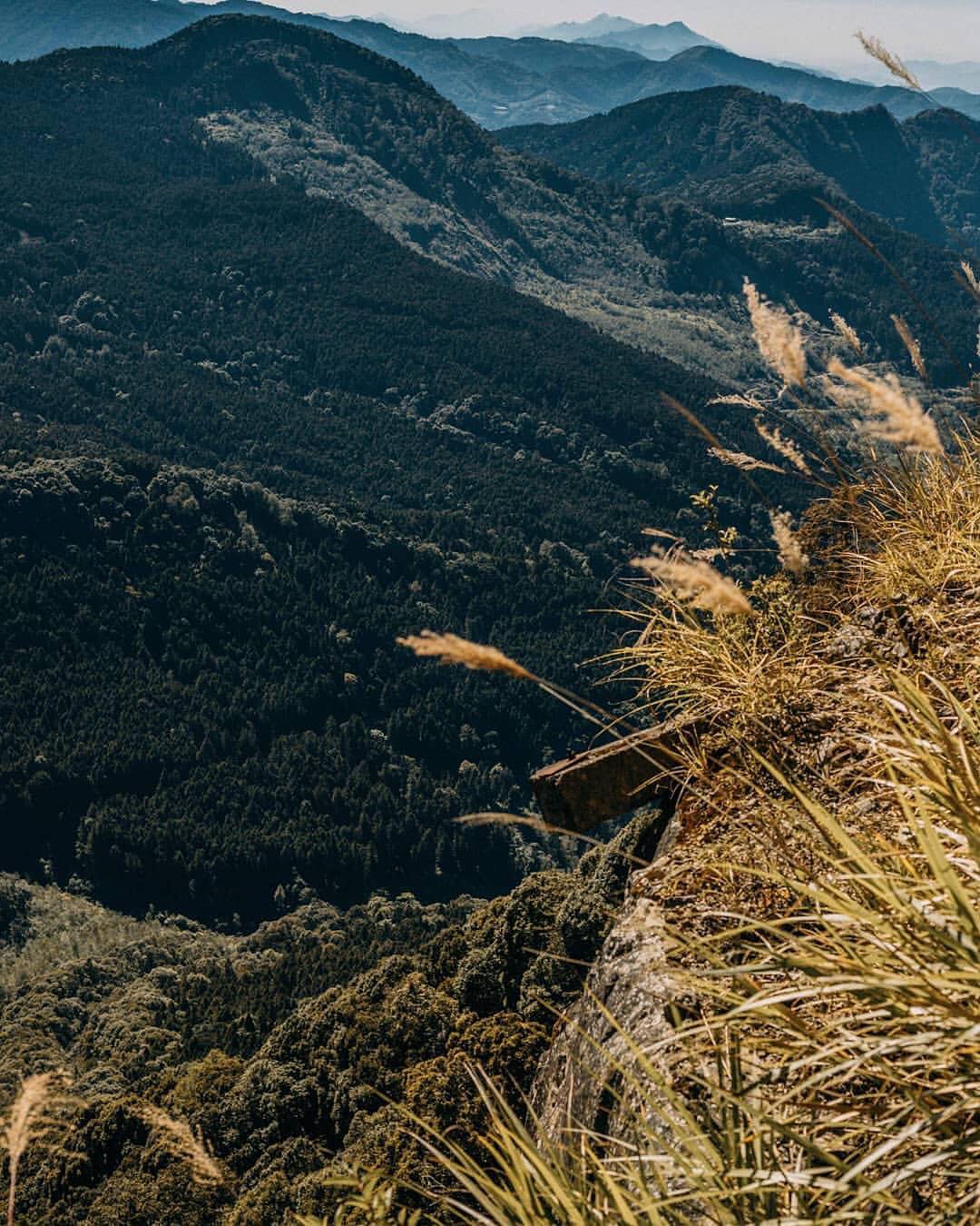 來阿里山能看見台灣的美- ⠀⠀⠀⠀⠀⠀⠀⠀⠀⠀⠀⠀感謝 @gn00026405 分享的美照❤️- #travelalishan 或...