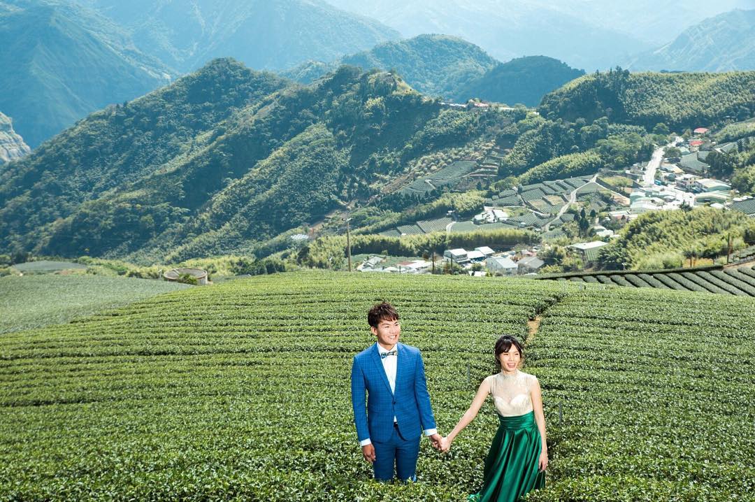 阿里山浪漫婚拍首發在茶園裡牽著彼此的手是不是很浪漫⠀快 #travelalishan 或 @travelalishan 讓小編找到...