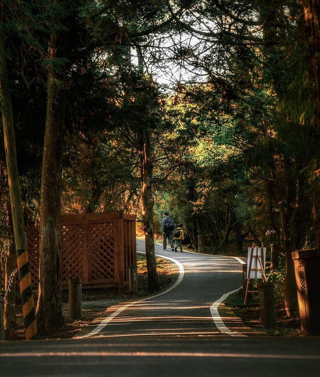 ⠀⠀⠀⠀⠀⠀⠀⠀⠀⠀⠀蜿蜒曲折的道路讓阿里山更顯神秘感- ⠀⠀⠀⠀⠀⠀⠀⠀⠀⠀⠀⠀感謝 @hyst_306 分享的美照-⠀⠀⠀⠀⠀...