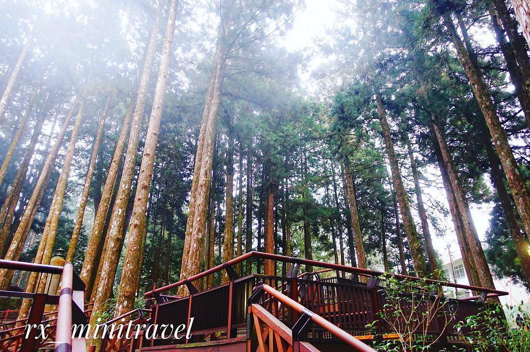 阿里山的神木總是令人肅然起敬- ⠀⠀⠀⠀⠀⠀⠀⠀⠀⠀⠀⠀感謝 @rx_minitravel 分享的美照❤️- #travelali...