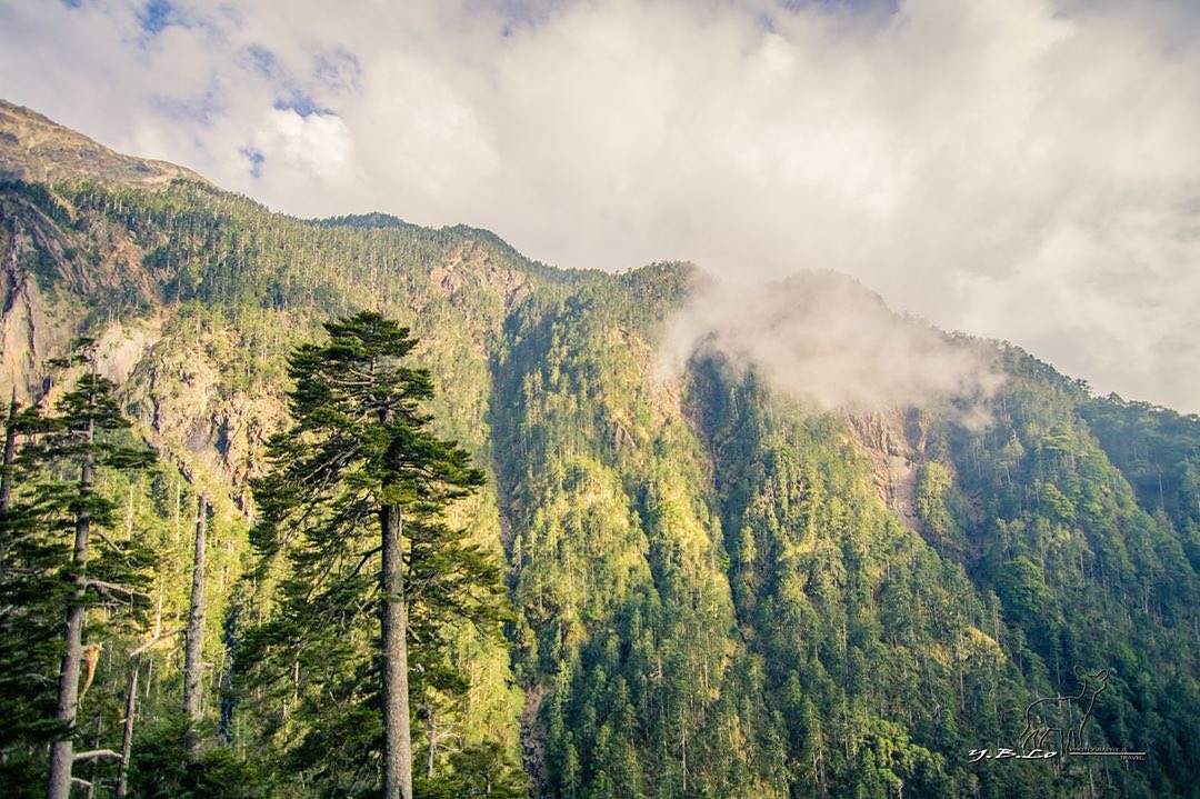 藍天白雲的時候雲霧飄渺的時候就是來阿里山走走的時候- ⠀⠀⠀⠀⠀⠀⠀⠀⠀⠀⠀⠀感謝 @taiwan1600 分享的美照❤️- #t...