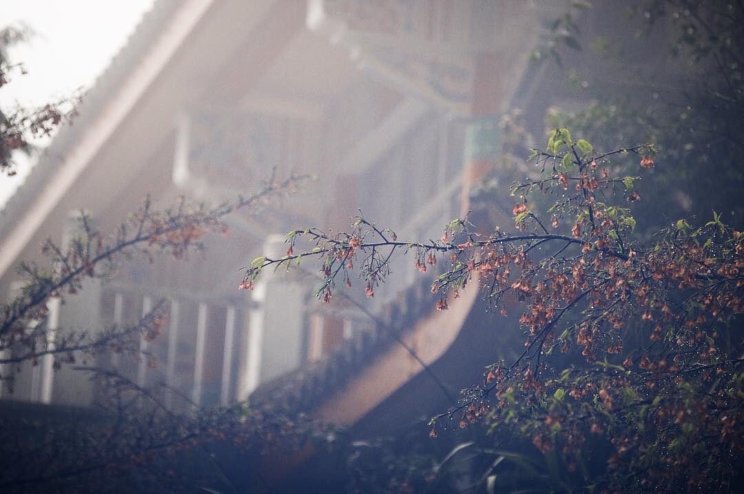 近日連日大雨造成土石坍方下雨天請避免上山唷～- ⠀⠀⠀⠀⠀⠀⠀⠀⠀⠀⠀⠀感謝 @etienne.photographic 分享的美...