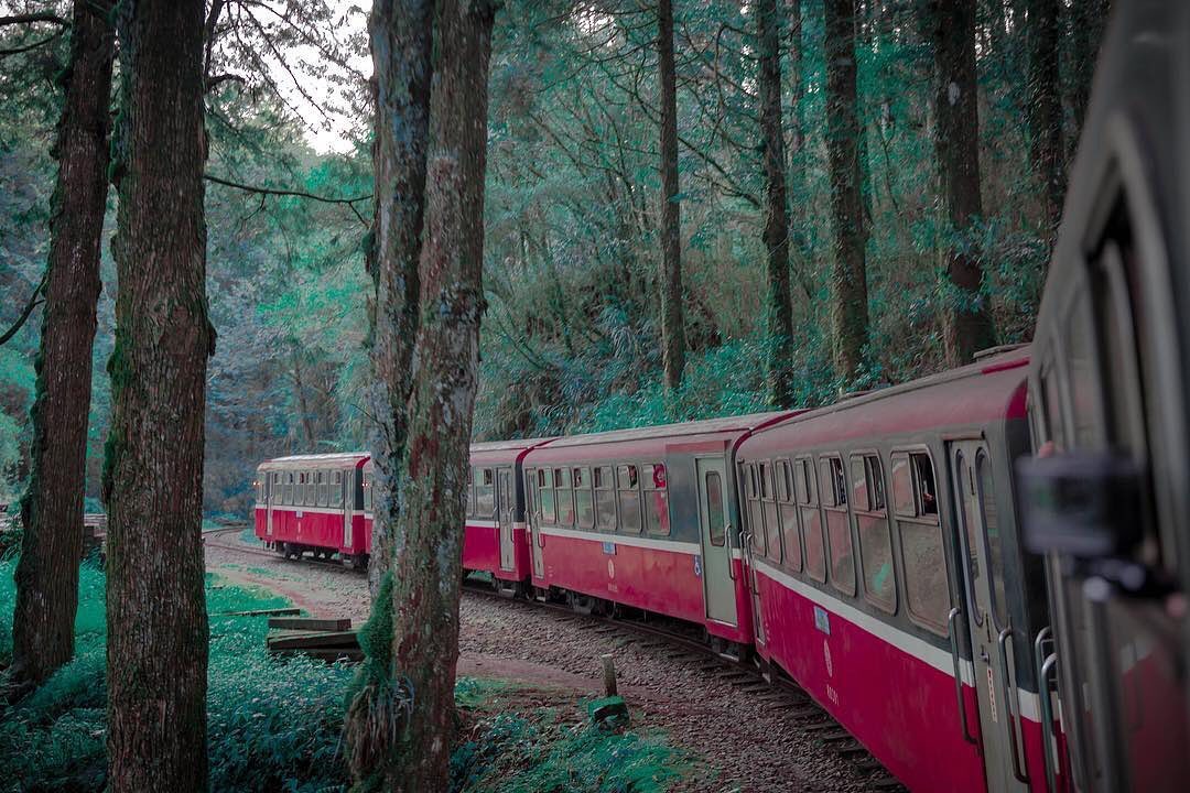 ⠀⠀⠀⠀⠀⠀⠀⠀⠀⠀⠀穿梭在森林裡的紅色小火車❤️總是這麼的迷人☺️- ⠀⠀⠀⠀⠀⠀⠀⠀⠀⠀⠀⠀感謝 @mau_haoo_do 分...