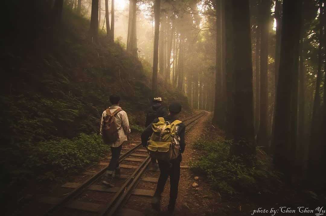 ⠀⠀⠀⠀⠀⠀⠀⠀⠀⠀⠀在這一大片的森林角落總是會有幾個地方帶給你無限的驚喜- ⠀⠀⠀⠀⠀⠀⠀⠀⠀⠀⠀⠀感謝 @chen_chen_...