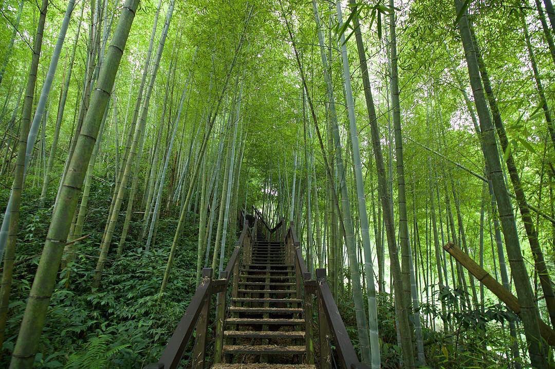 石棹有五條步道你挑戰完了嗎～- ⠀⠀⠀⠀⠀⠀⠀⠀⠀⠀⠀⠀感謝 @etienne.photographie 分享的美照-⠀⠀⠀⠀⠀⠀...
