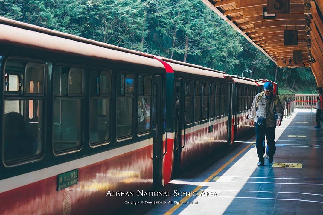 想當個森林旅人就來阿里山吧- ⠀⠀⠀⠀⠀⠀⠀⠀⠀⠀⠀⠀感謝 @zero_19940110 分享的美照-⠀⠀⠀⠀⠀⠀⠀⠀⠀⠀⠀⠀ #...