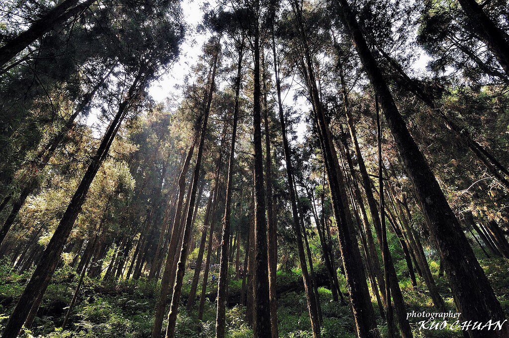 在悠悠靜靜的森林裡感受著悠悠靜靜的自己❤️- ⠀⠀⠀⠀⠀⠀⠀⠀⠀⠀⠀⠀感謝 @gtgt959 分享的美照-⠀⠀⠀⠀⠀⠀⠀⠀⠀⠀⠀⠀...