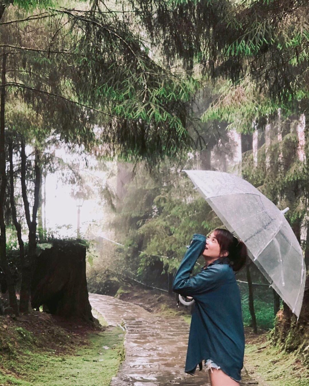 雨天也能拍出美照不過下雨天上山要注意安全唷- ⠀⠀⠀⠀⠀⠀⠀⠀⠀⠀⠀⠀感謝  @wu.christy 分享的美照-⠀⠀⠀⠀⠀⠀⠀⠀...