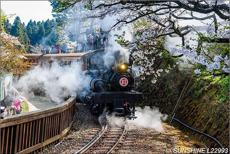⠀⠀⠀⠀⠀⠀⠀⠀⠀⠀⠀阿里山官網instagram❤️帶你看見夢幻美景- ⠀⠀⠀⠀⠀⠀⠀⠀⠀⠀⠀⠀感謝 @gtgt959  分享的...