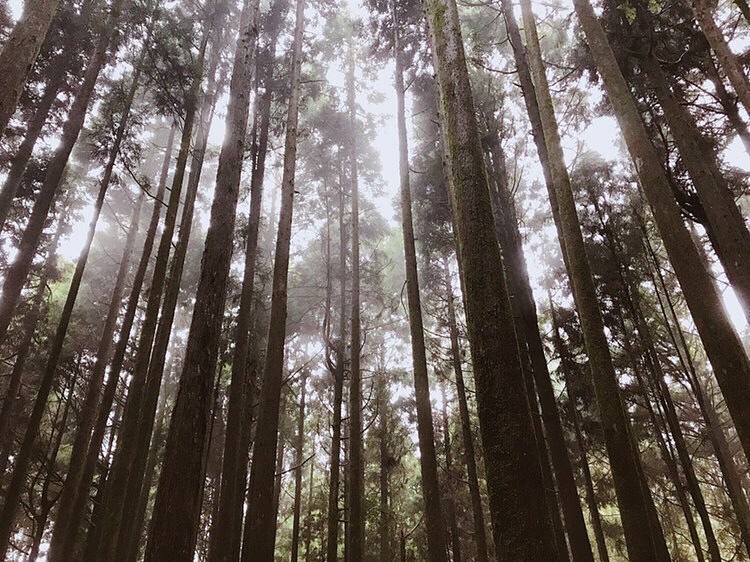 ⠀⠀⠀⠀⠀⠀⠀⠀⠀⠀⠀充滿著希望力量的曙光但⋯明天要上班啊致 我們的上班日常- ⠀⠀⠀⠀⠀⠀⠀⠀⠀⠀⠀⠀感謝 @yangrui_0...