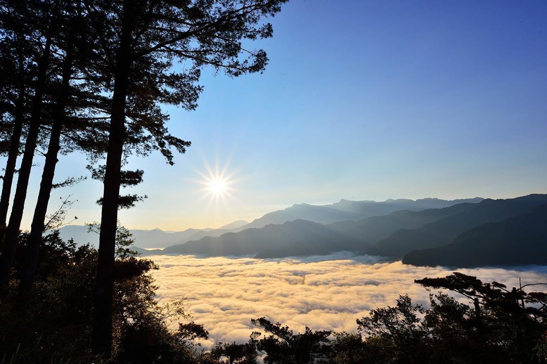 當日出的光芒灑落在雲海上就像波光粼粼的大海一樣美麗- ⠀⠀⠀⠀⠀⠀⠀⠀⠀⠀⠀⠀感謝  @黃源明 分享的美照-⠀⠀⠀⠀⠀⠀⠀⠀⠀⠀⠀...