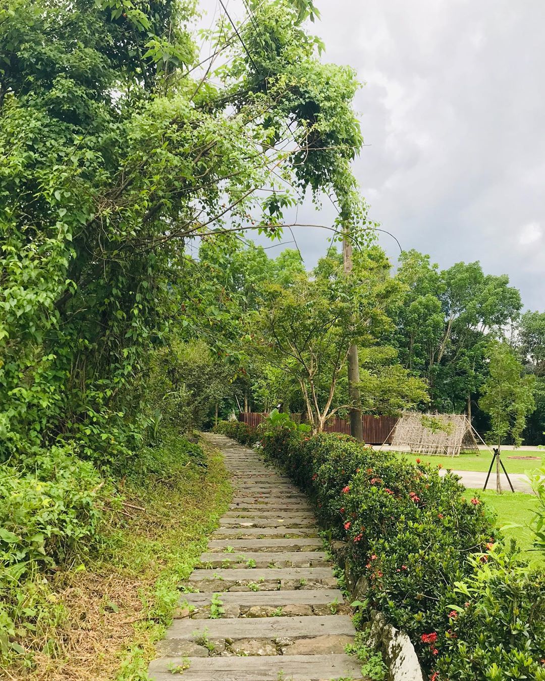 好像走入後花園的步道一般其實剛開始的平緩只是錯覺- ⠀⠀⠀⠀⠀⠀⠀⠀⠀⠀⠀⠀感謝  @dongpigfish 分享的美照-⠀⠀⠀⠀...