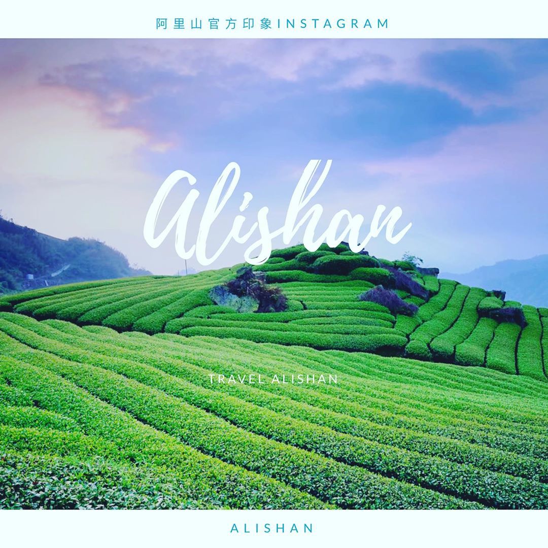 追蹤我們帶你看見不一樣的阿里山- ⠀⠀⠀⠀⠀⠀⠀⠀⠀⠀⠀⠀感謝 編編 分享的美照⛰️-⠀⠀⠀⠀⠀⠀⠀⠀⠀⠀⠀⠀ #travelal...