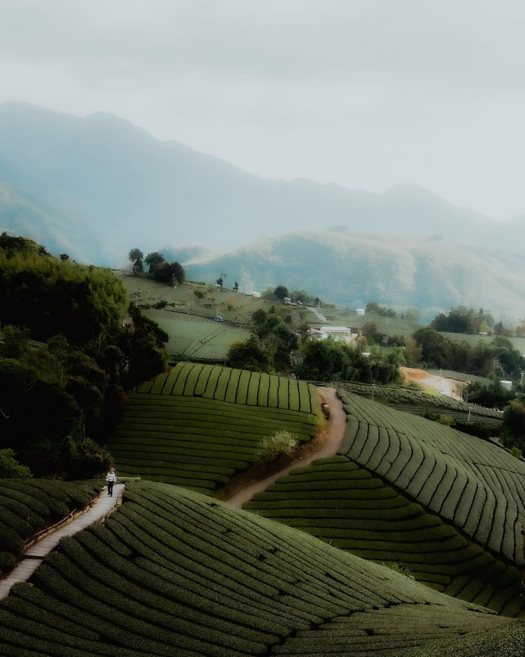 瑞峰珍愛步道無論是晨間的薄霧還是傍晚的霞光，都為這裡增添了無限魅力，來享受這份自然的寧靜與美好吧！感謝 @dr.ap  美照分享-...