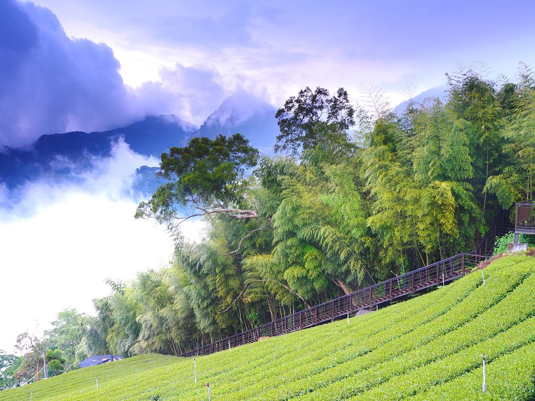 【想念山上的景色跟空氣！轄區恢復開放景點】颱風過後，山區的部分步道及景點陸續恢復，列出幾個熱門步道報你知！✔ #太平雲梯 周邊✔ ...