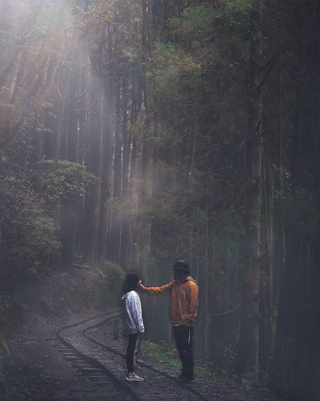 特富野古道少數可以走在鐵軌上的步道，是早期運送林木的舊水山線，停駛後鐵道整修成我們現今熱門的特富野古道，遺跡能被保留下來真是太好了...