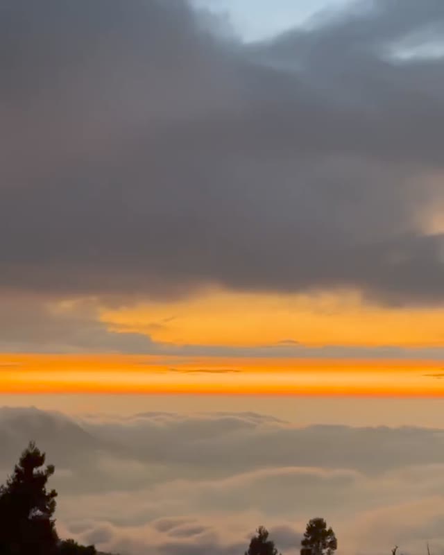 就是要大肆分享阿里山的特產~~~滿滿的雲海☁️☁️照片授權 @yuping_daily -⠀歡迎在您的貼文 #travelalis...