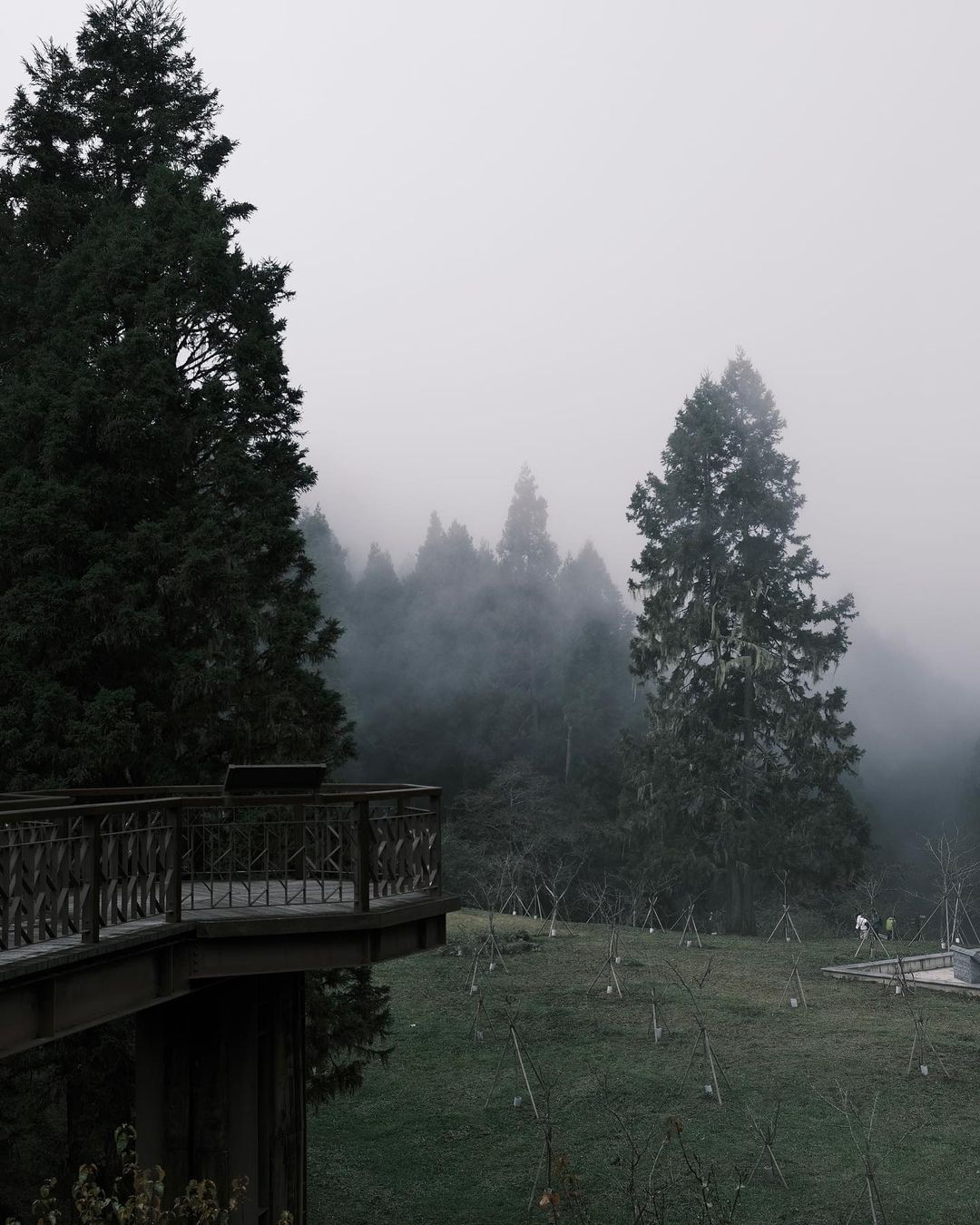 天氣預報說全台有雨，今天一早阿里山這邊也下起雨了，大家出門記得帶把傘，小心天雨路滑喔照片授權 @yi_rou -⠀歡迎在您的貼文 ...