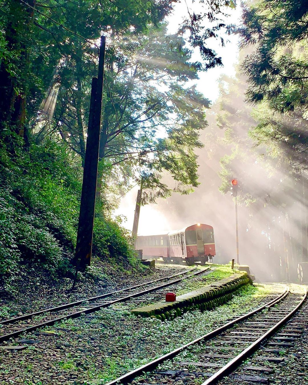 穿越光束的阿里山小火車照片授權 @tammylin1009 -⠀歡迎在您的貼文 #travelalishan 或 @travela...