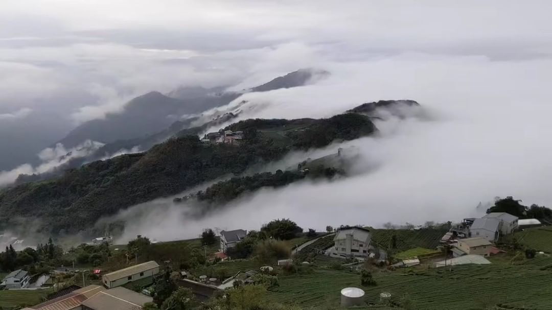 阿里山特產⛥季節限定⛥☁我們最常置身在霧茫茫裡，其實雲瀑是這樣流動的~雲海跟雲瀑哪個比較難遇上 (拍攝) 呢？照片授權 @a594...