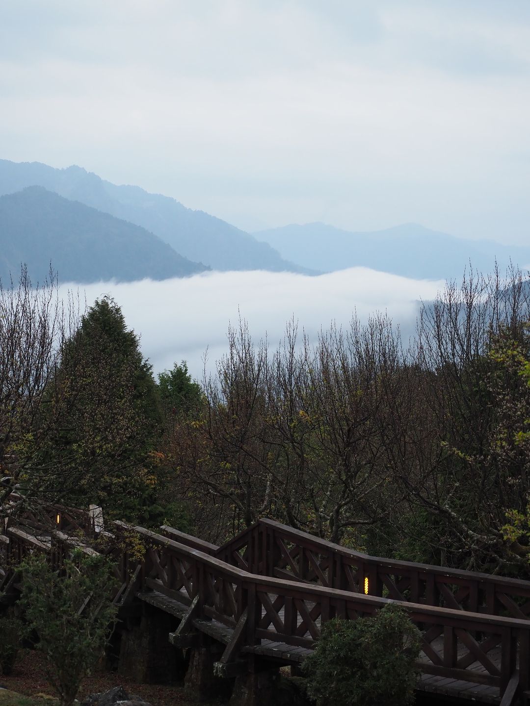 凌晨摸黑搭上祝山觀日列車沒等到日出，但有滿滿的雲海、流動的雲瀑☁️☁️-⠀歡迎在您的貼文及限動 #travelalishan 或 ...