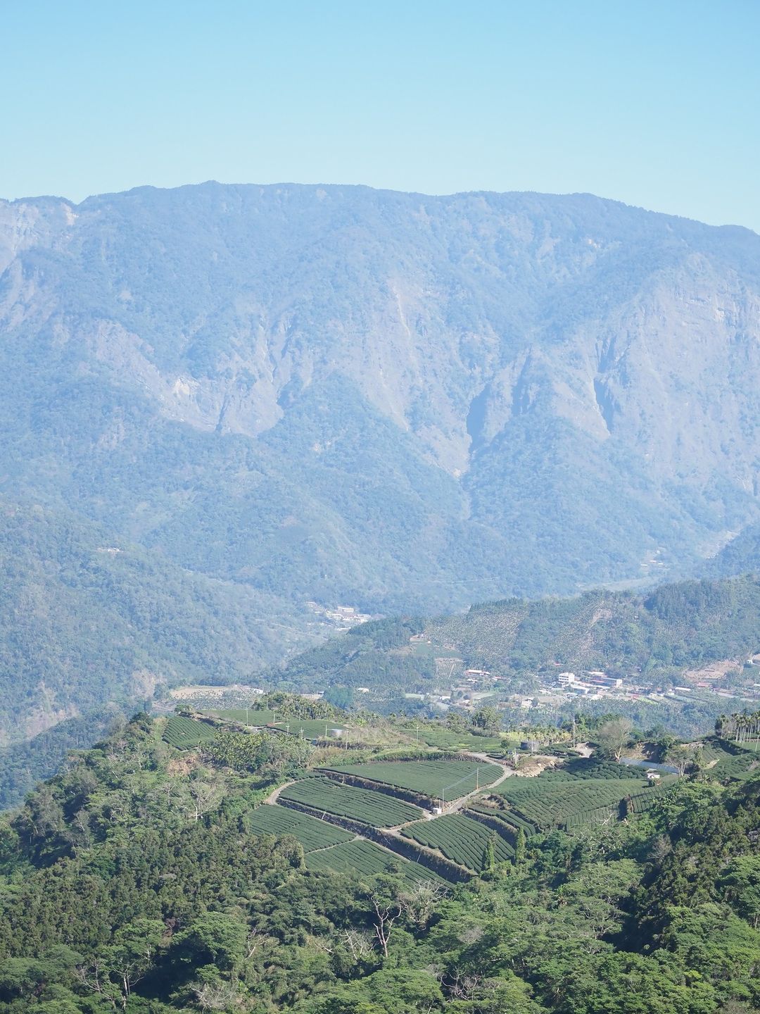 站在高處拍我們太和的山與茶園也能有空拍的效果( 雄偉的山~ )-⠀歡迎在您的貼文及限動 #travelalishan 或 @tra...