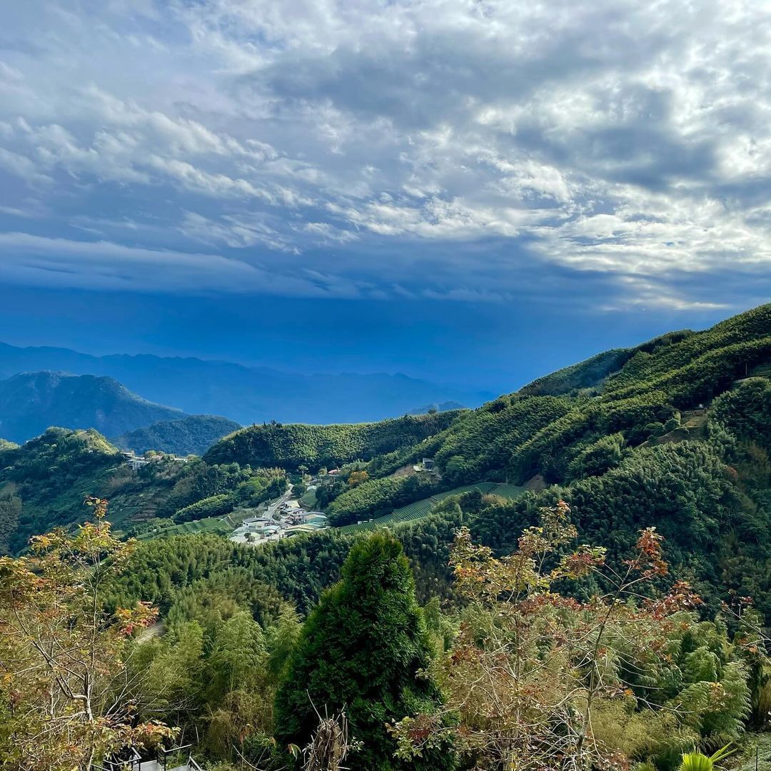 茶林山步道就在熱門的二延平步道附近，步行可及的距離，全長720公尺的茶林山步道，可謂CP值很高！雖然上坡的階梯走起來有些喘，但沿途...