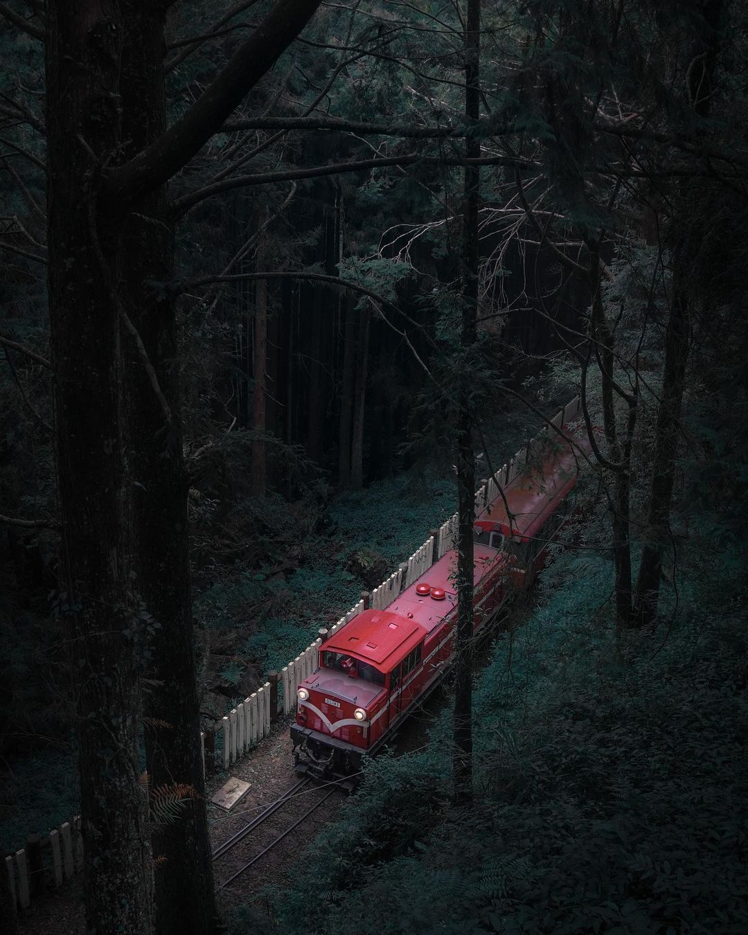 穿梭在森林裡的紅色列車，是最顯眼美麗的存在❤沒有坐在列車上，站在某處欣賞也滿足~最近看到旅客走在鐵軌上的新聞覺得很危險，也是知法犯...