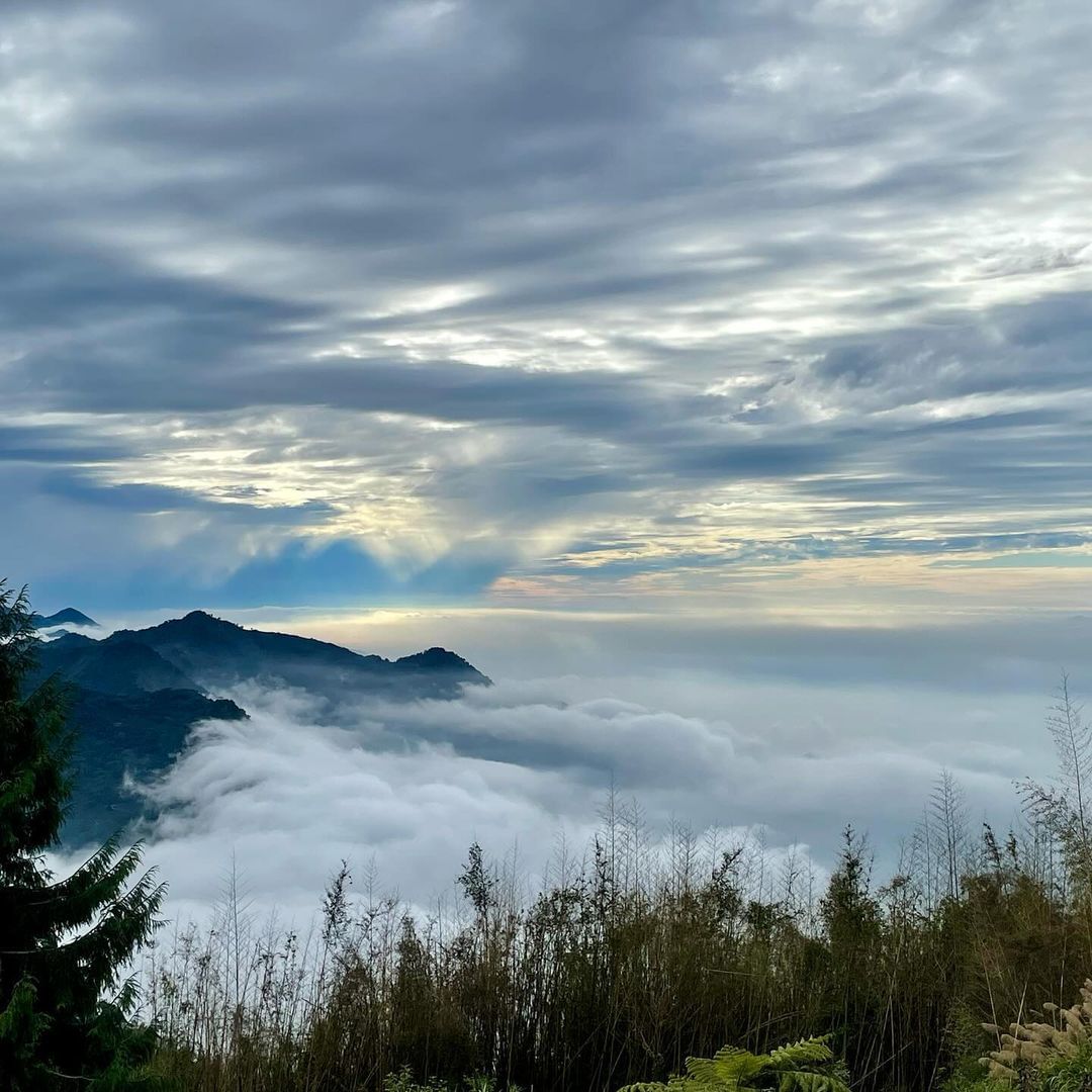 最近豪雨特報，很多人私訊關心山區的狀況，小編來說明一下~周三開始都下大雨，阿里山公路上有零星小落石目前沒有傳出災情一切平安！(希望...