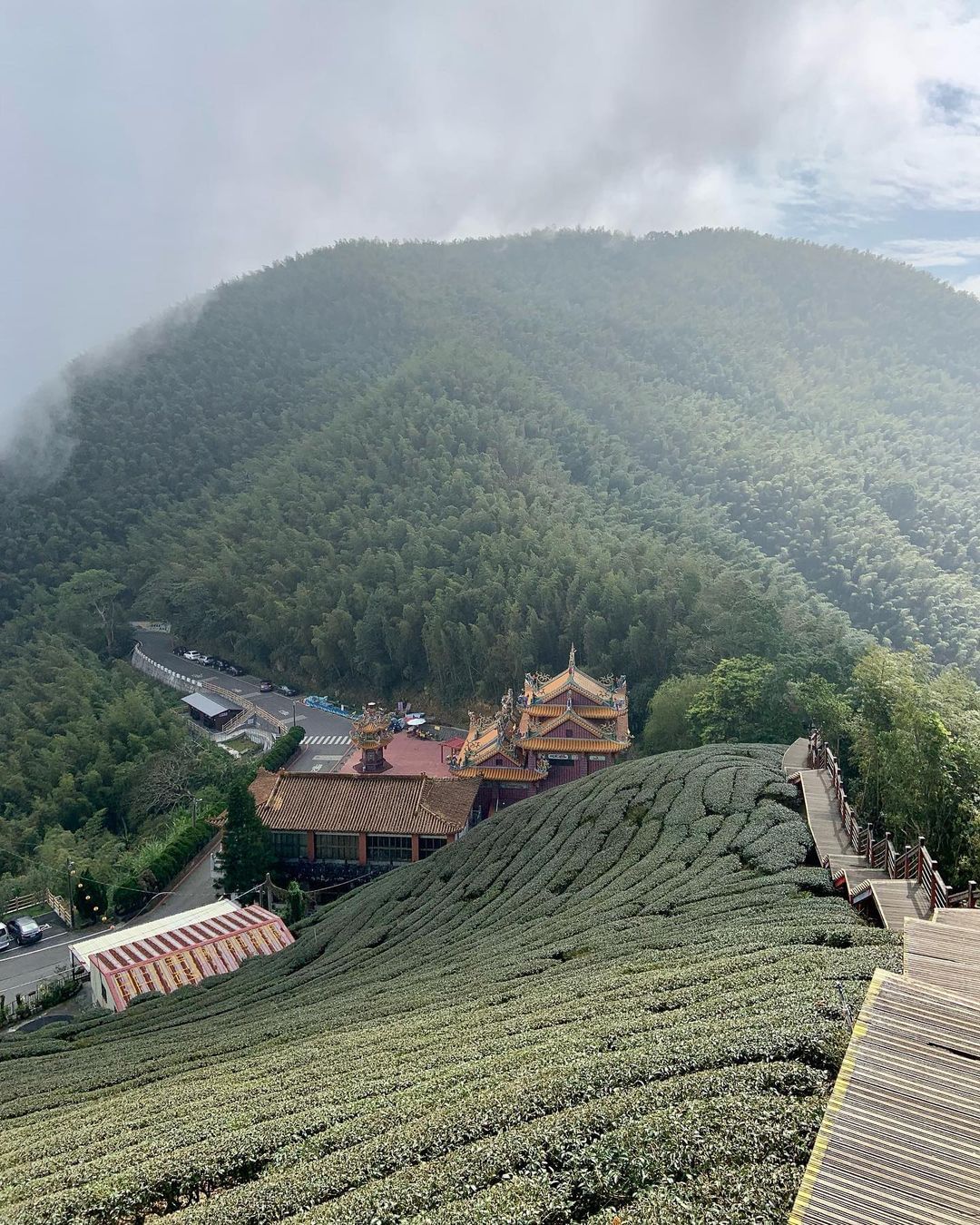 二尖山步道走五連峰有些累，那先來輕鬆路線，到二尖山步道探探路！滿眼好看的山與茶園，說不定就是你向前行的動力  照片授權 @elli...