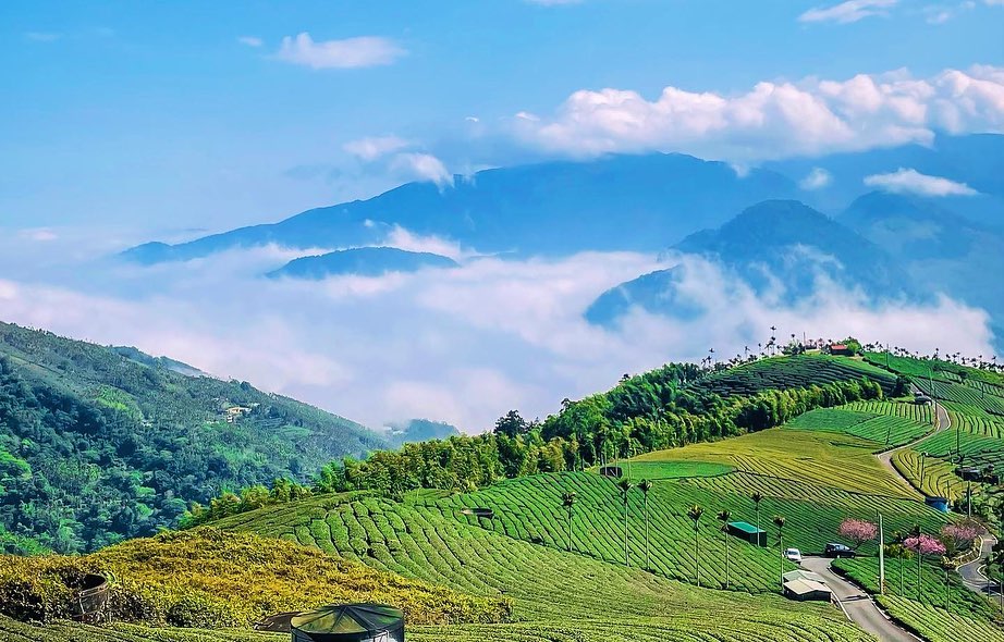 碧湖觀景台大家會覺得這裡是隱藏版景點嗎？常來大阿里山地區的朋友一定不陌生但對於不常來的朋友，收藏起來，下次踩這個點！每次看到這裡眺...
