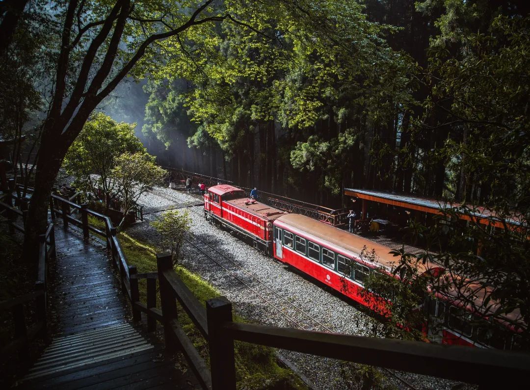 倒數！期待紅色列車再現，全線穿梭在山林之中大家有同樣的期待嗎~① 有搭過全線② 有搭過阿里山小火車③ 清單之一，一定要搭一次的你是...