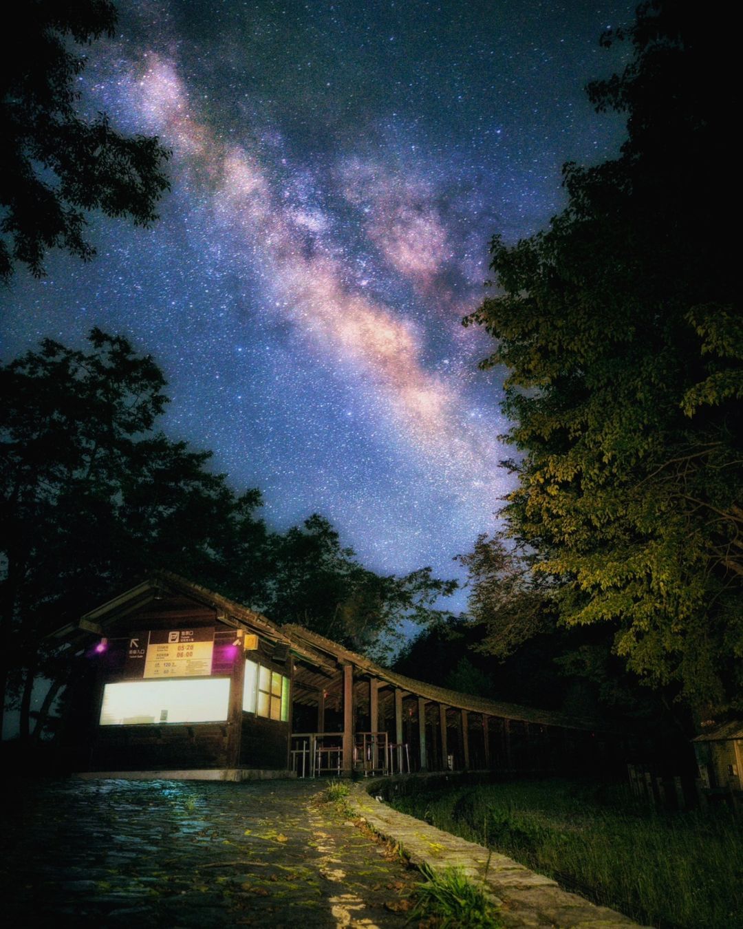 阿里山的夜間娛樂偏奢侈，還是浪漫呢感謝 @jaychan_nz  美照分享-⠀歡迎在您的貼文及限動 #travelalishan ...