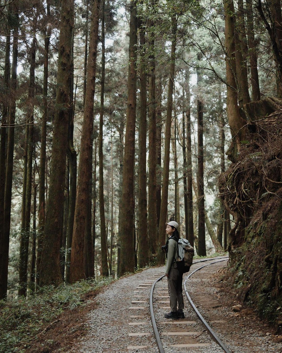 走在阿里山的山林鐵軌步道，就足以浪漫！跟山林來一場約會特富野古道感謝 @ki__ttl 美照分享-⠀歡迎在您的貼文及限動 #tra...
