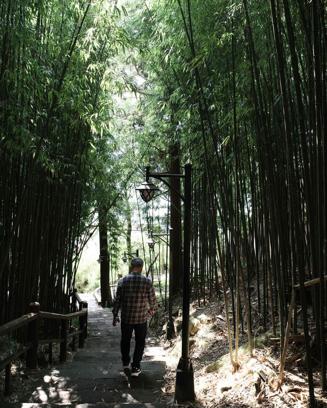 奮起湖竹林的綠意讓人感受到清涼與寧靜熱天氣的煩悶在這裡瞬間消失無蹤！感謝 @photowritelife  美照分享-⠀歡迎在您的...