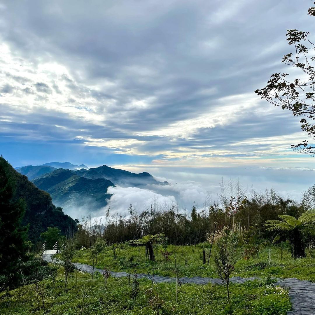 在人氣景點二延平步道附近的「茶林山步道」，從這裡看到的美景絕不遜色貼心小提醒，茶林山步道雖然路途不長，但沿途遮蔭處較少，記得做好防...
