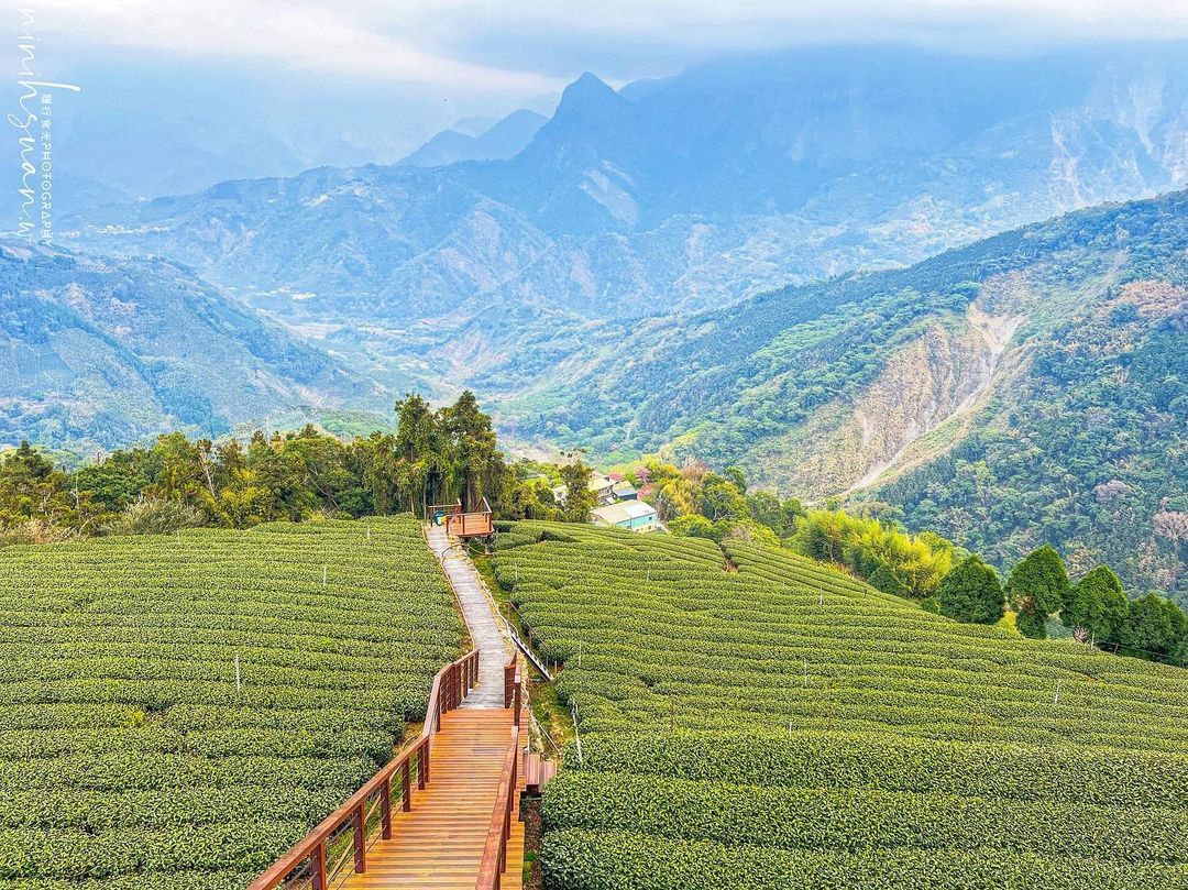 巃仔尾步道，靜謐茶園秘境等你來發現！ 巃仔尾步道位於梅山鄉太和村，相較於其他熱門景點，這裡少有遊客，小編都說這裡是阿里山的秘境走...