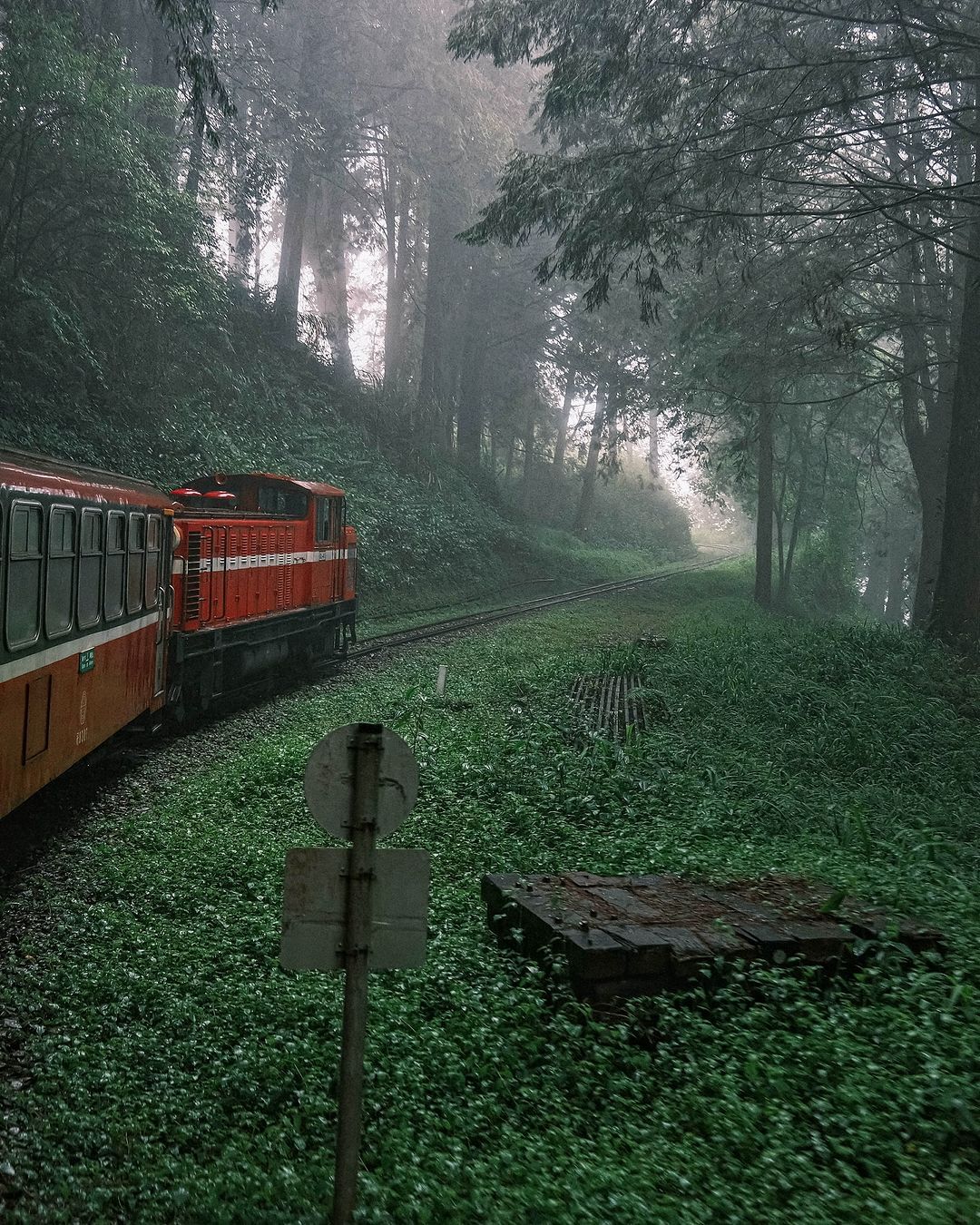 即將復駛的阿里山小火車，沒買到票嗎？那我們去那些沿途的懷舊車站迎接吧！感謝 @binsphotoofficial_  美照分享-⠀...