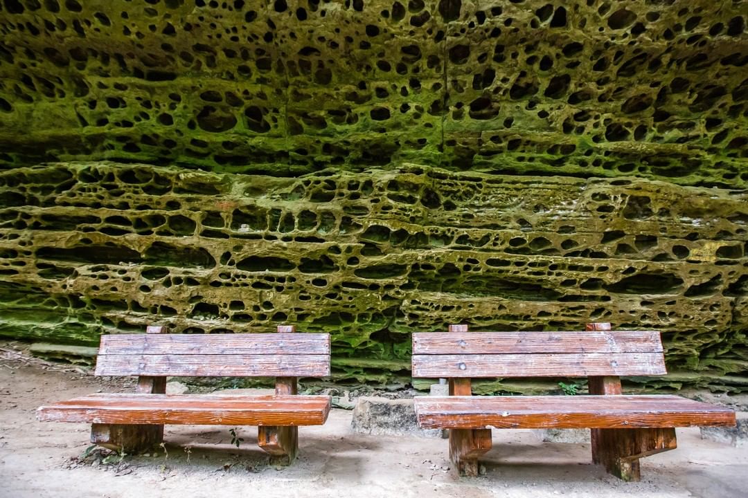 難道這就是德古拉伯爵的家⛰青年嶺步道－千年蝙蝠洞此處岩性為層狀砂頁岩，岩面上形成蜂窩似的洞口，最大的洞口寬約50公分，深約60公分...