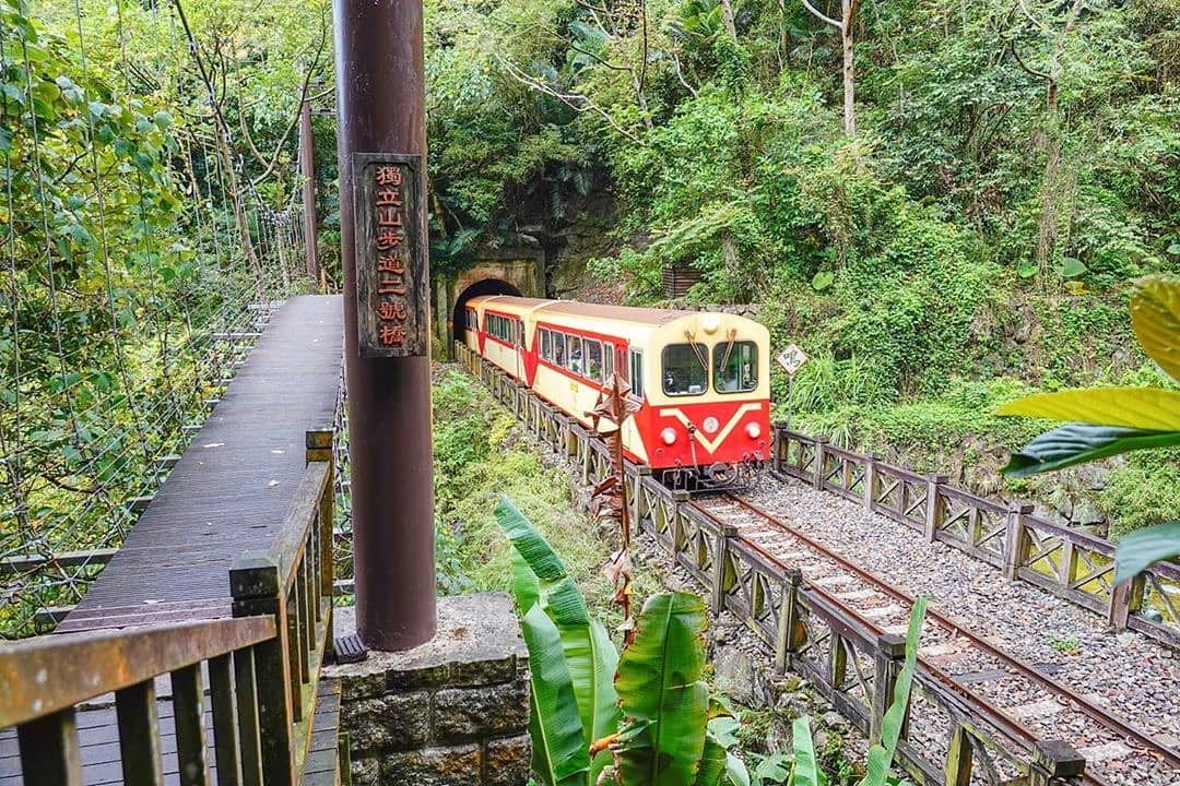 阿里山火車過隧道嘟嘟~~清嗆~~-⠀⠀⠀⠀⠀⠀⠀⠀⠀⠀⠀感謝 @shun___0707 分享的美照-⠀⠀⠀⠀⠀⠀⠀⠀⠀⠀⠀⠀ #t...