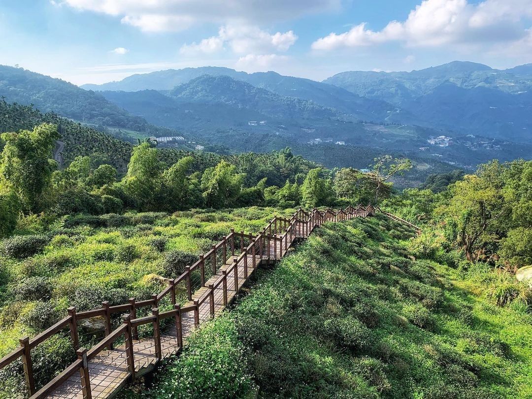 輕鬆一日遊系列往山裡跑或許路途會花一些時間但當你在山裡深呼吸你便會覺得「來對了！」不急不趕，一日剛剛好小編推薦你太興岩步道(順遊泰...