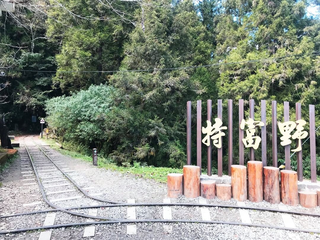 特富野古老的鐵道 帶你進入另一個國度 -⠀⠀⠀⠀⠀⠀⠀⠀⠀⠀⠀感謝 @ashihung 分享的美照-⠀⠀⠀⠀⠀⠀⠀⠀⠀⠀⠀⠀ #t...