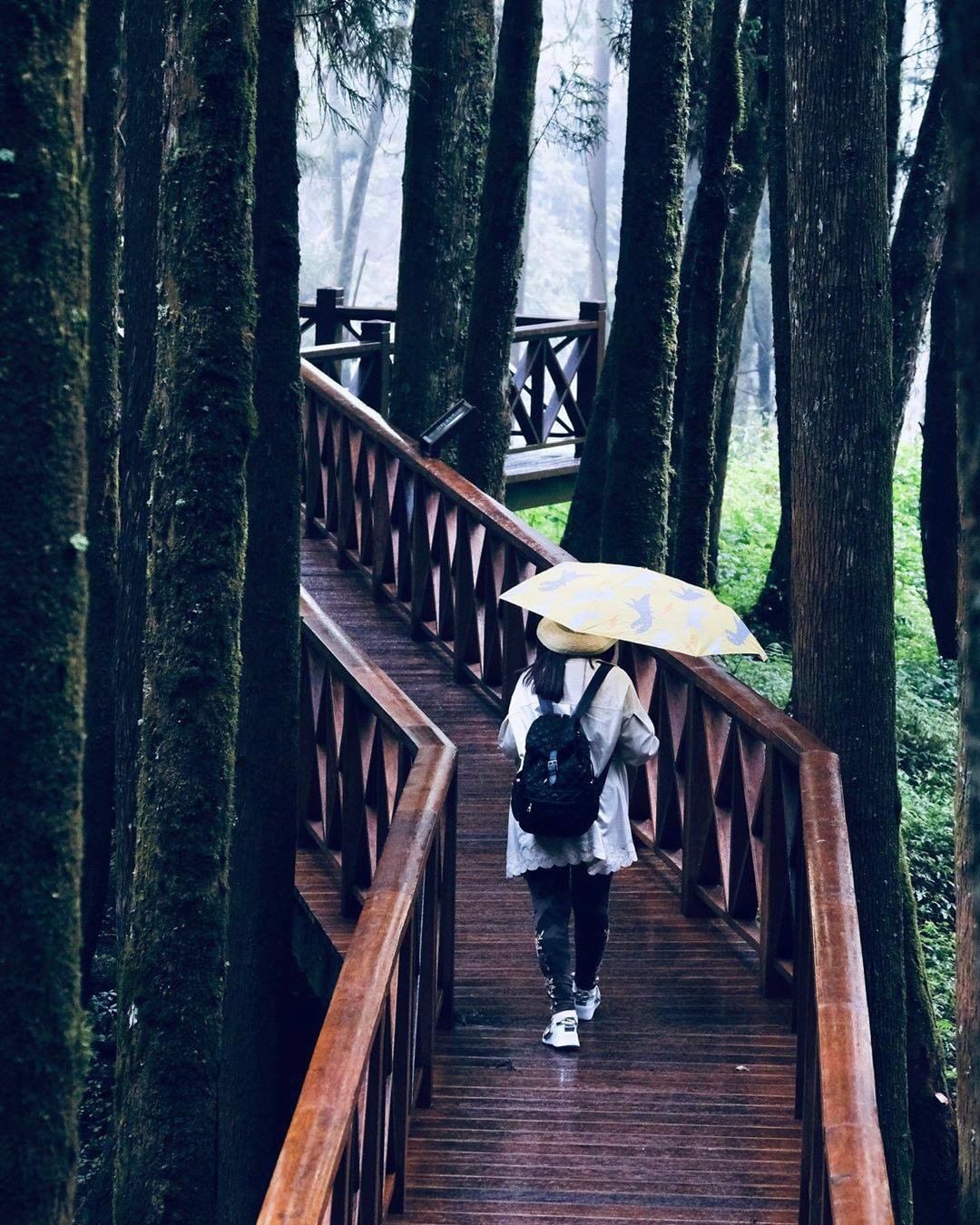 你能體諒 我有雨天 偶爾膽怯 你都了解到了星期一，還是要好好加油吧 -⠀⠀⠀⠀⠀⠀⠀⠀⠀⠀⠀感謝 @js.w2020  分享的美照...