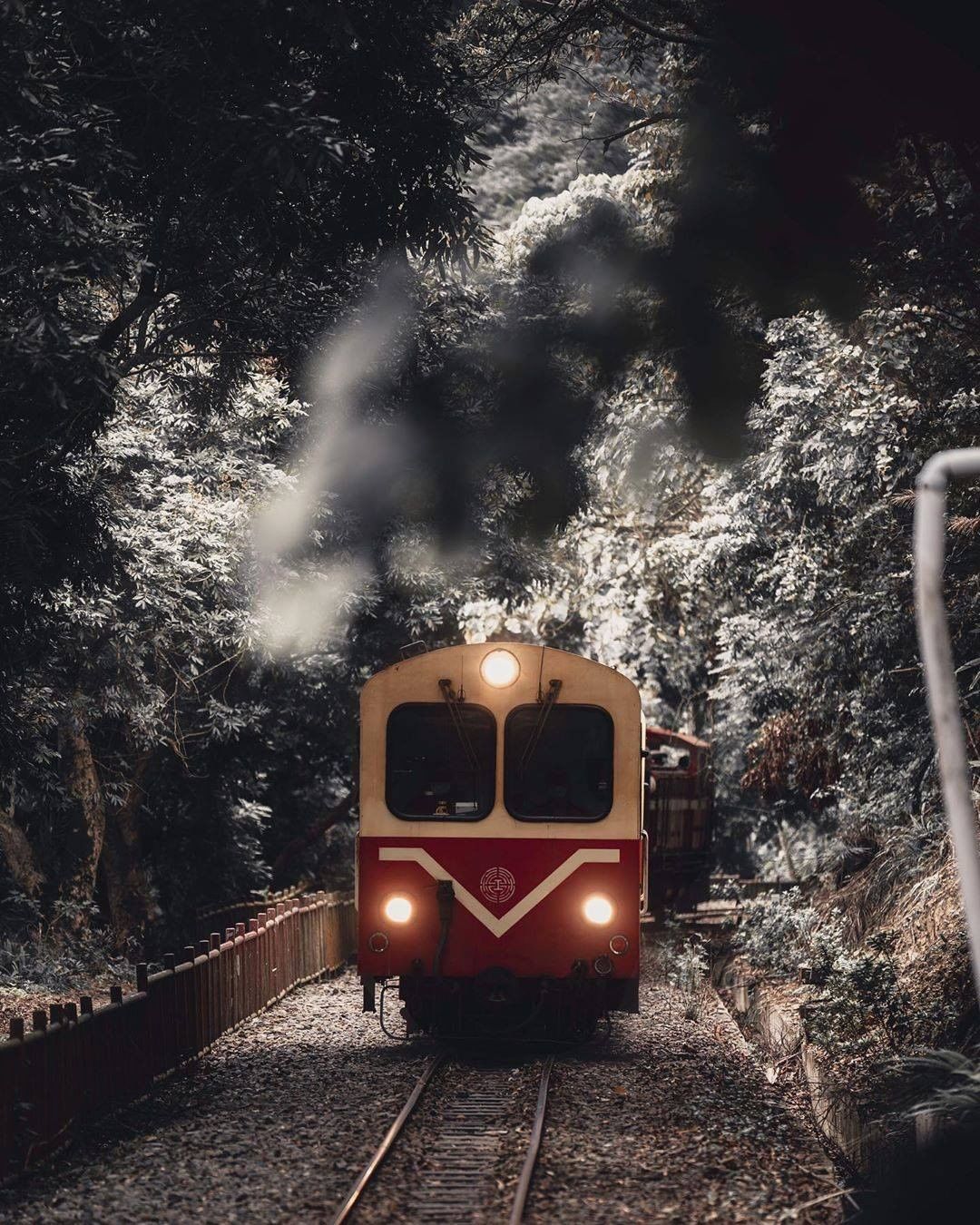 在森林中行駛的小火車不同於往返各鄉鎮的火車從山底下往山上，車廂兩旁林相的變化很不一樣-⠀⠀⠀⠀⠀⠀⠀⠀⠀⠀⠀感謝 @alenrod...