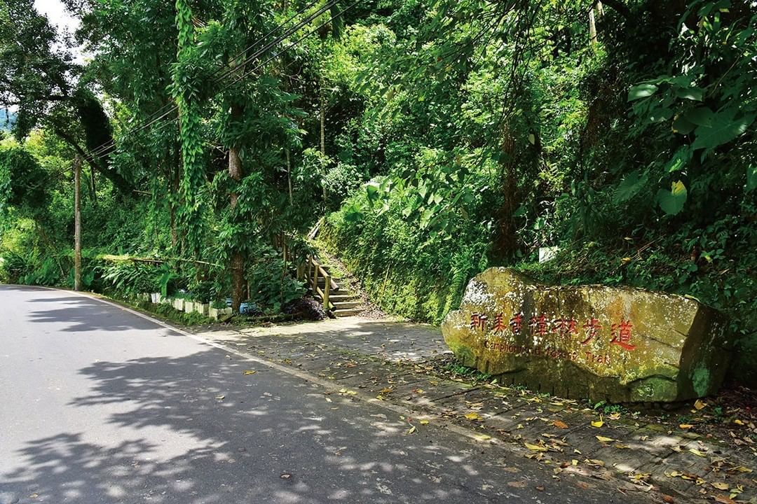 早期鄒族人打獵和上山的舊路 ‍♂‍♀有群蝶漫舞的蝴蝶園，不過要挑對季節喔 -⠀⠀⠀⠀⠀⠀⠀⠀⠀⠀⠀⠀ #travelalishan...