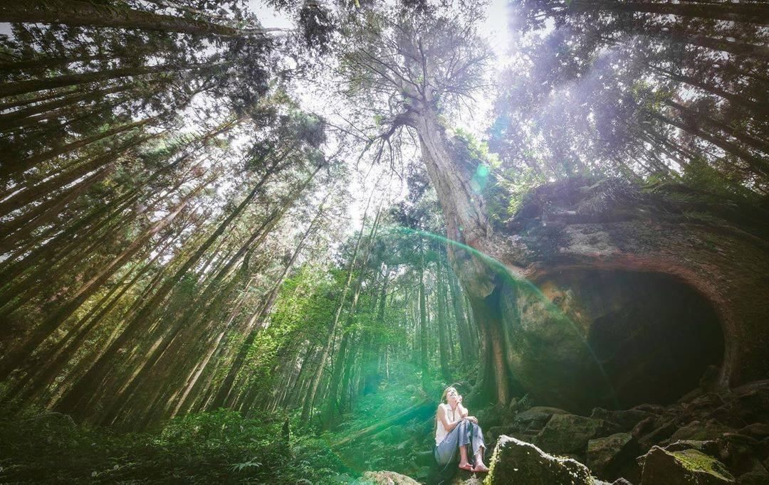 又一位網美在網美神木下合照這道閃耀的光照下的正是時候！-⠀⠀⠀⠀⠀⠀⠀⠀⠀⠀⠀感謝 @lilianwang_tw  分享的美照-⠀...