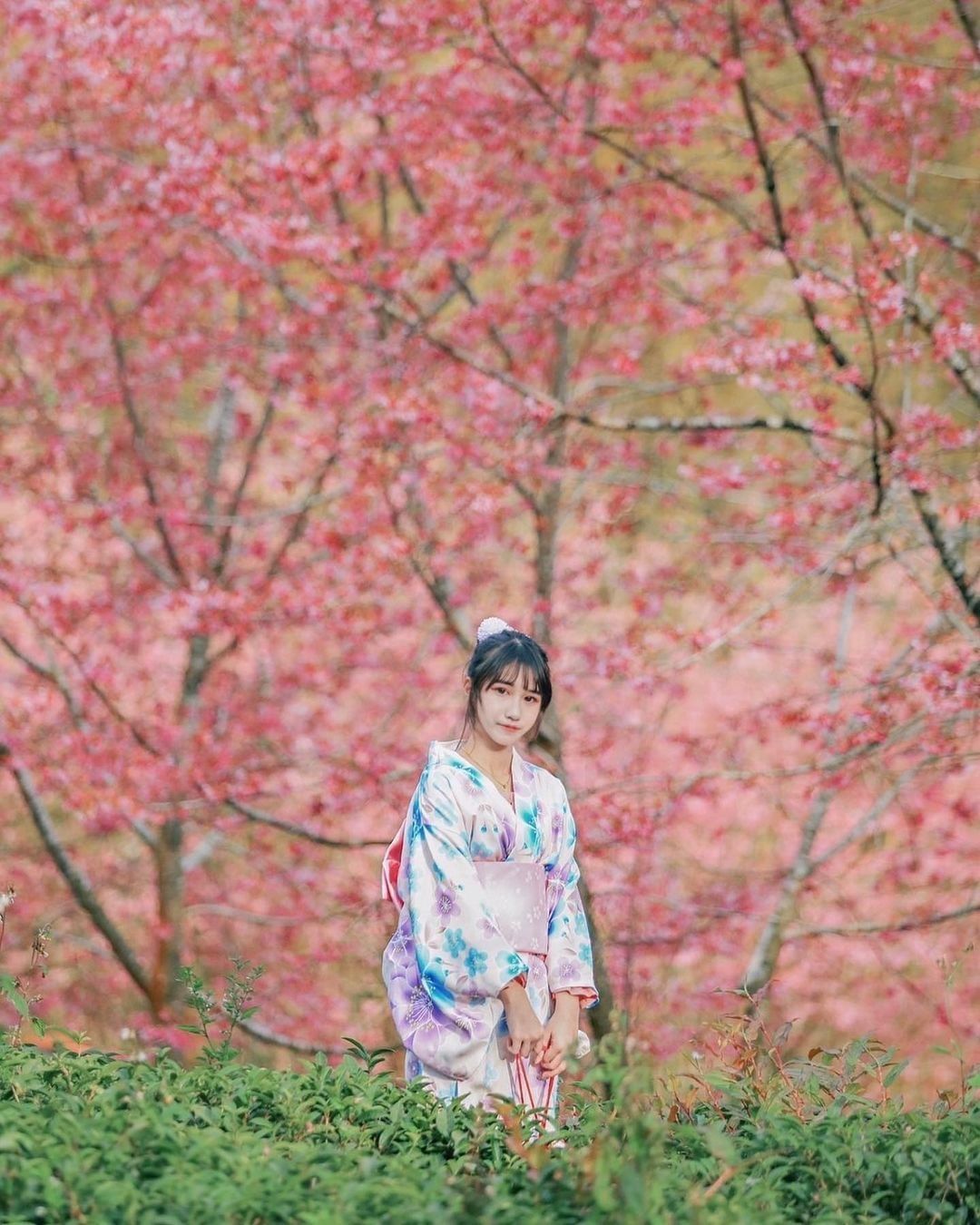 奢侈的把櫻花模糊當背景~攝影作品就這麼有趣（感謝 @xia_n55iw 分享美照）-⠀歡迎在您的貼文 #travelalishan...