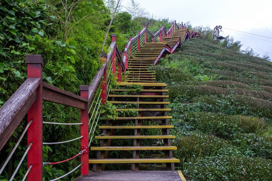 茶園中的二尖山步道 雅致涼亭等你來完 ☂-⠀⠀⠀⠀⠀⠀⠀⠀⠀⠀⠀⠀⠀⠀⠀⠀⠀⠀⠀⠀⠀ #travelalishan 或 @trav...