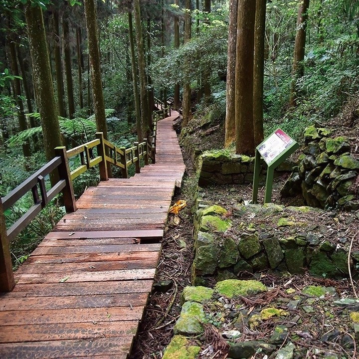 吃完奮起湖便當 健走好去處~奮起湖步道 ‍♂‍♀-⠀⠀⠀⠀⠀⠀⠀⠀⠀⠀⠀⠀ #travelalishan 或 @travelali...