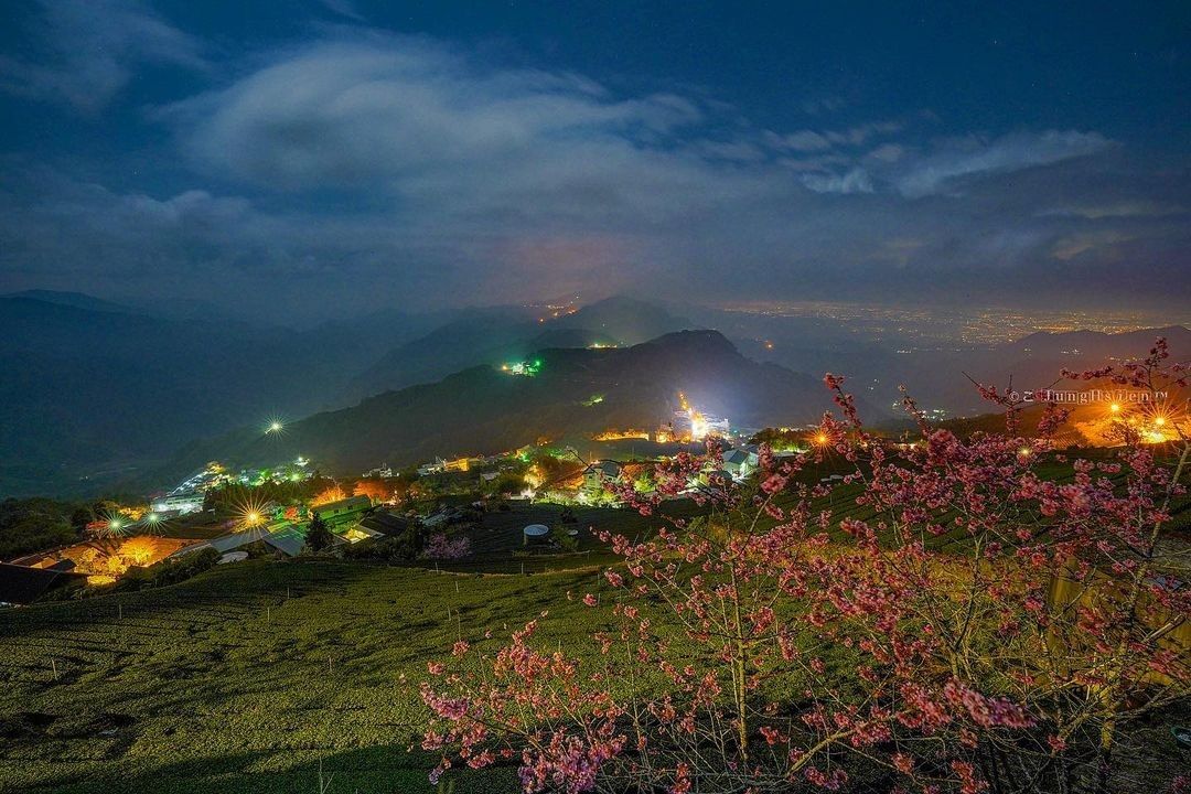 難得的夜景，似琉璃光與櫻花相襯。從禮拜二就開始累的小編(奧少年XD)放假就是要睡到自然醒大家晚安！（感謝 @jung_hsien....